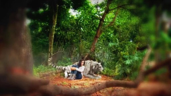 #PIGUM#Kumayan#7manusiaharimau yg slalu dikenang spanjang 2016 <a href="/ochi_24/">Ochi rosdiana</a> <a href="/sam_zylgwyn/">Samuel Zylgwyn</a> <a href="/endikkoeswoyo/">Endik Koeswoyo</a> <a href="/sinemart_ph/">Sinemart Indonesia</a>