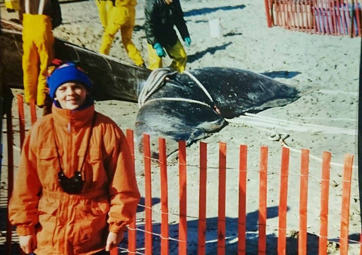 BroadEmbrace's tweet image. Went to the New Bedford Whaling Museum. Same whale, same nerd, 18 years apart.