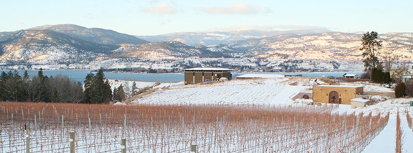 Serendipity Winery tweet media