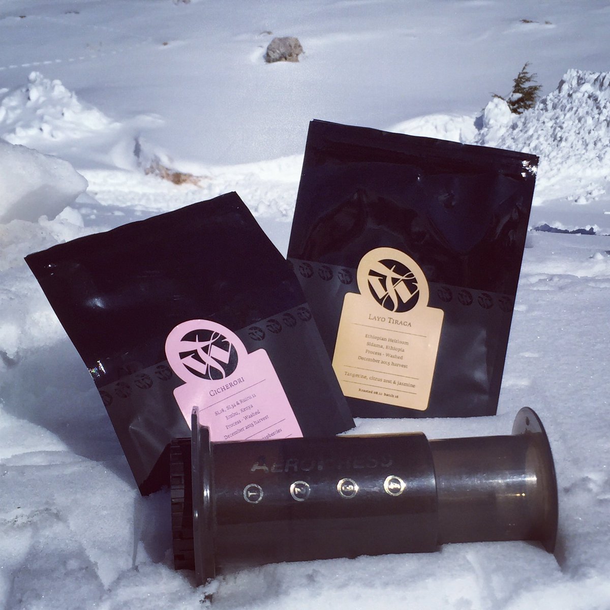 We love to discover and share with you the best coffees!
<a href="/timwendelboe/">Tim Wendelboe</a>, one of our favorite roasters, is now our new resident!
#timwendelboe