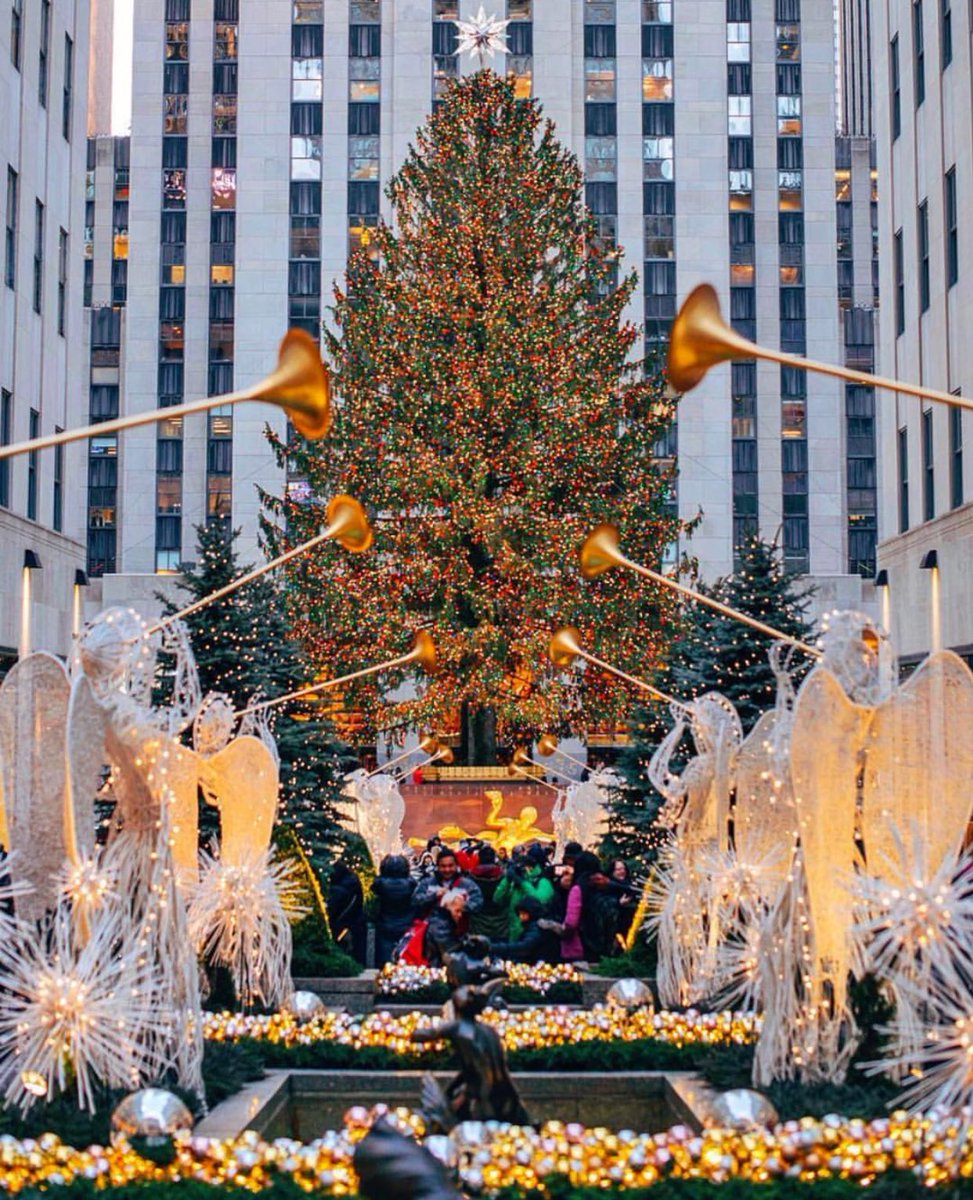 It's only the most beautiful time of the year in NYC! 🎄 #CCPR