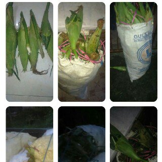KULINER BALIKPAPAN tweet media