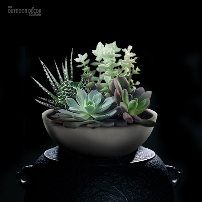 TheOutdoorDecor's tweet photo. Add your #creativity to your home and #garden. Shop now for modern #planters, #pots and #bowls. https://t.co/tS8hSYLaMy #outdoordecor #decor https://t.co/MH4qP47afF