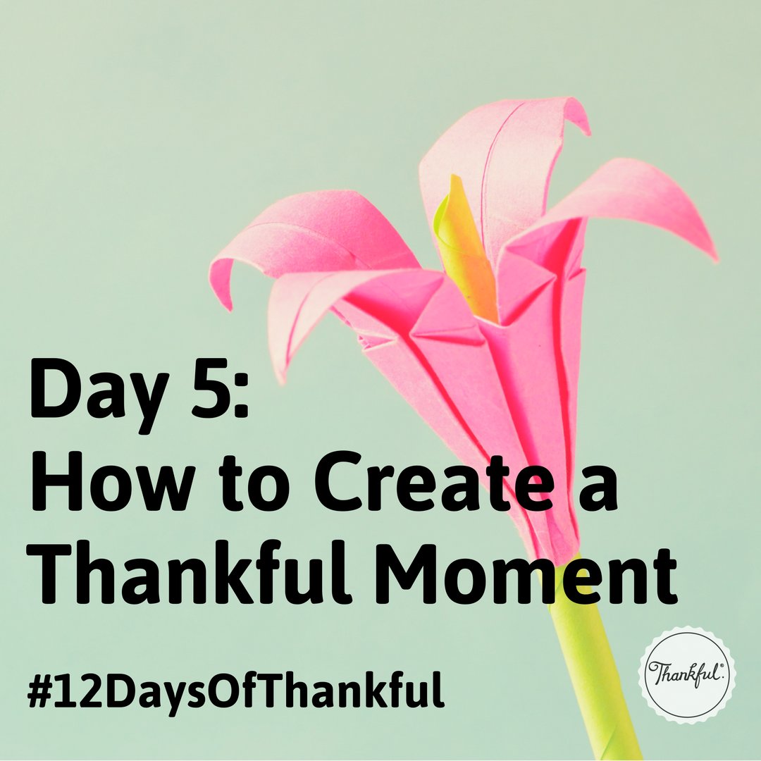 ThankfulOrg's tweet photo. 1. Notice something good.
2. Say thank you.
3. Do something good.
#12DaysOfThankful #ProjectThankful #ThankYou #ThankfulMoment #Thankful https://t.co/cQUTWbuGAU