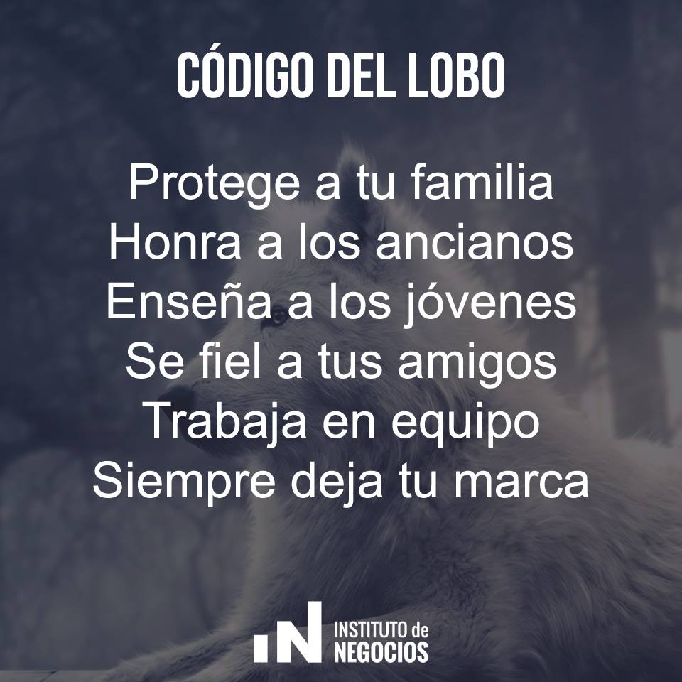 Clau19912's tweet photo. 🐺🐺 #codigolobo
#family #enseña #Trabajando #Equipo #marca😍 https://t.co/8GP4aKnVyY