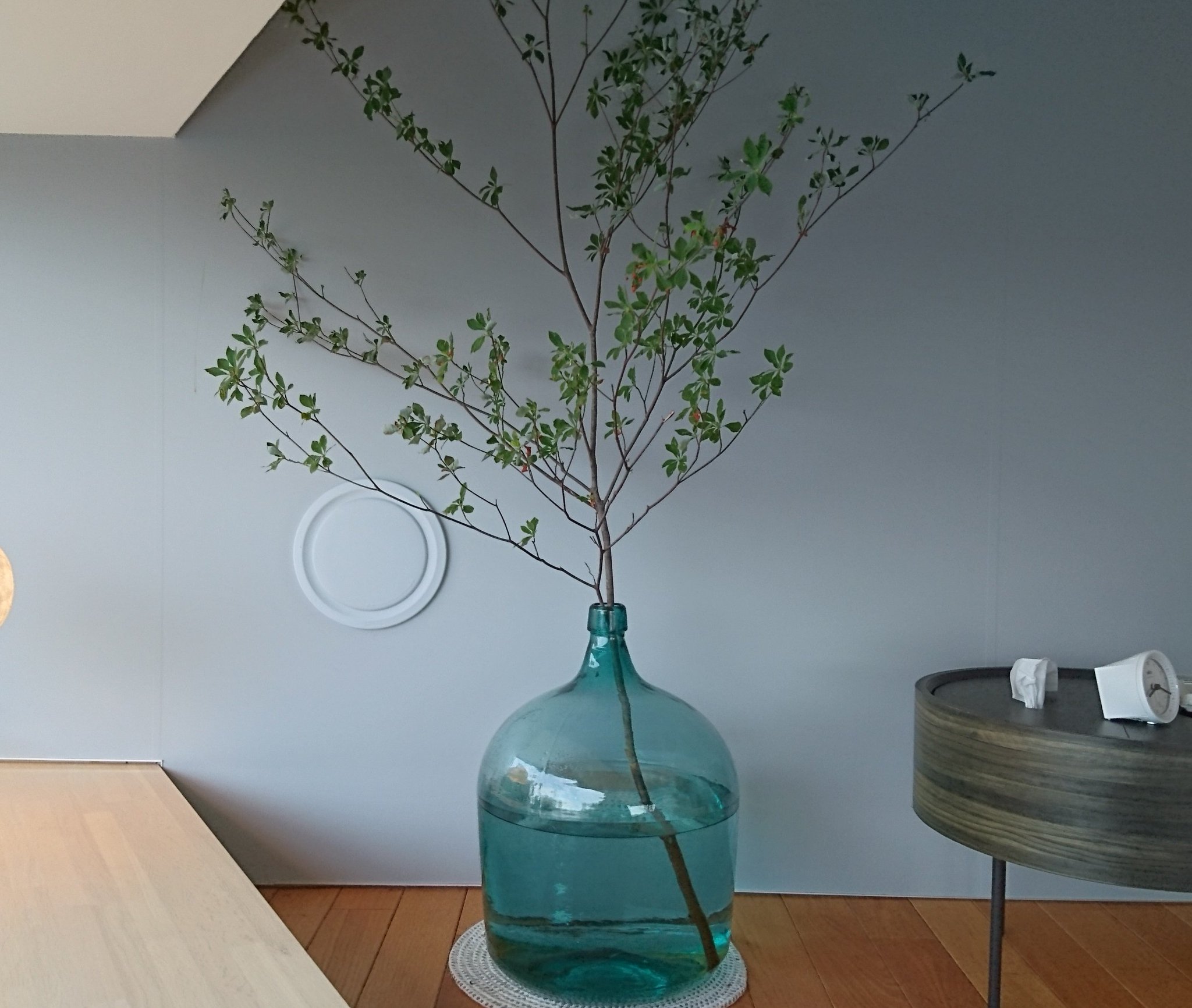 Shimoon 葉モノ 枝モノ ベッド脇のドウダンツツジ すでに３カ月経過 やっぱ枝モノ界の王様だ 風情 寿命ともレベル高し