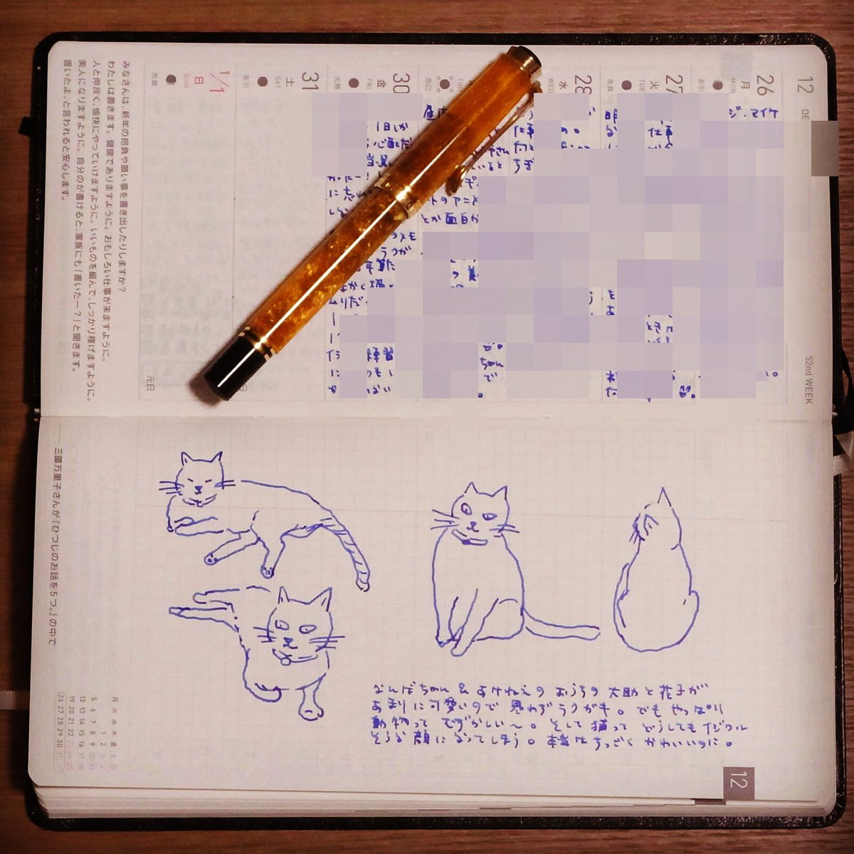 Maki Twitterren ほぼ日手帳weeks 横使いが使いやすい ふだんトラベラーズノートに描いている絵日記とは別に Weeksは巻末の ノートページをラクガキ 絵の練習帳にしようかなー と思ってます こちらは万年筆で ちょっとくらい歪んでも気にせず 1イラスト30秒