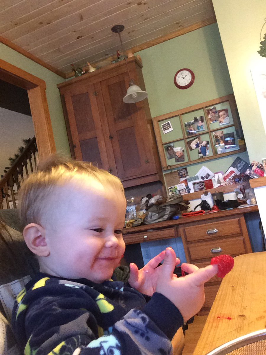 MaddieMarkovich's tweet photo. Get someone who looks at you the way Will looks at his raspberry https://t.co/Eq0clwf7DA