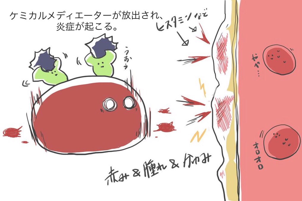 イメージで無理矢理覚えよう🐟
アレルギー I型。 
