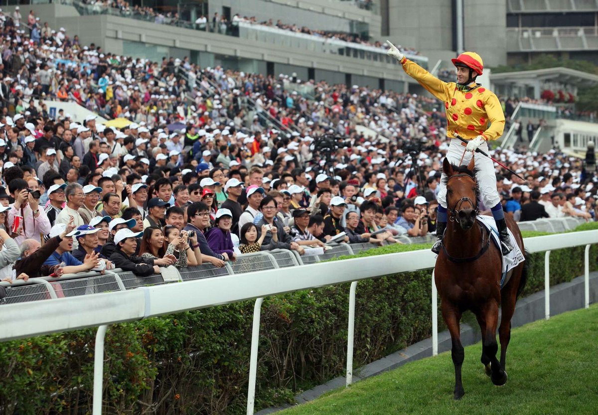 What’s better than to kick off #2017 with big winnings at the #NewYear'sDay Race at Shatin Racecourse? #hkjc #horseracing