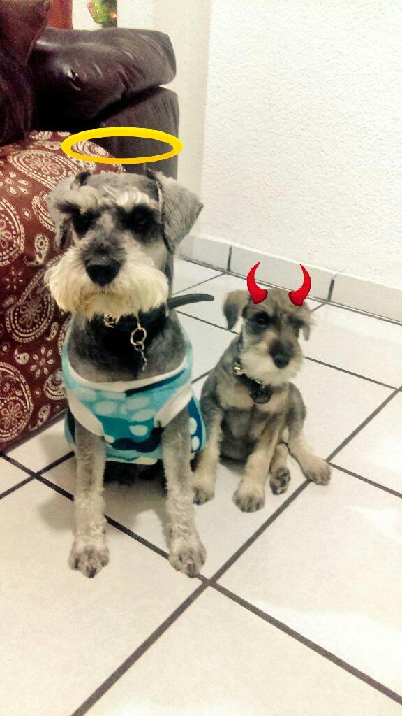 Dannykahlo's tweet photo. Los mejores <3 https://t.co/VCSAOHdtRV