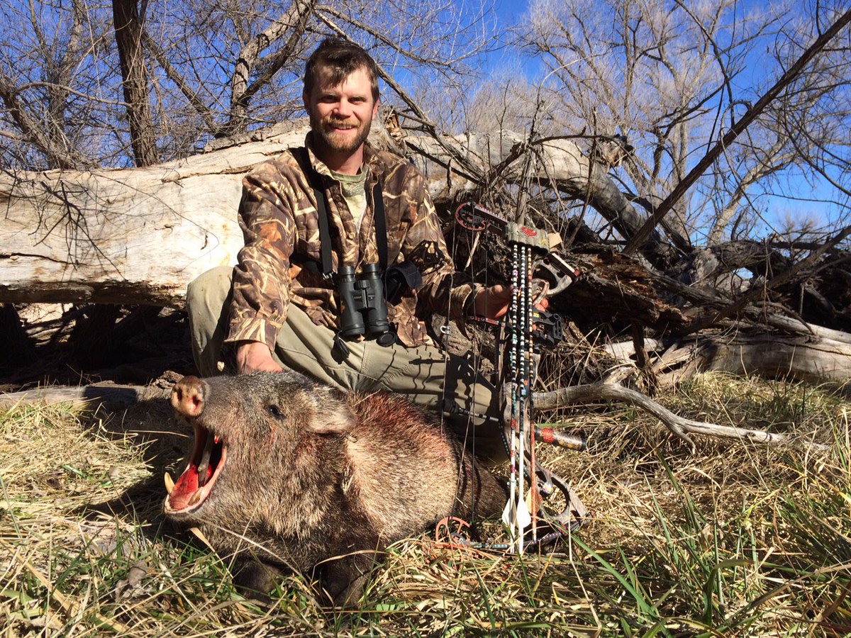 jhoutfitting's tweet photo. We hunt everything in NM! #huntingforanexperience @MeatEaterTV #iamsportsman #sickforit #NoOffSeason #WhatGetsYouOutdoors #bowhunting https://t.co/BDCORGdL7m