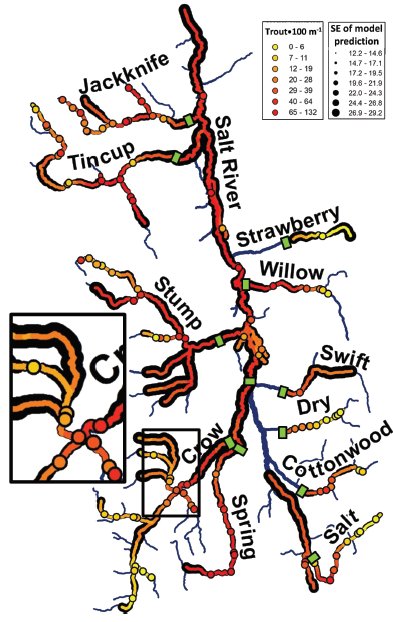 How many fish live in that stream network? New CJFAS study develops the geostatistical estimator researchgate.net/profile/Daniel…
