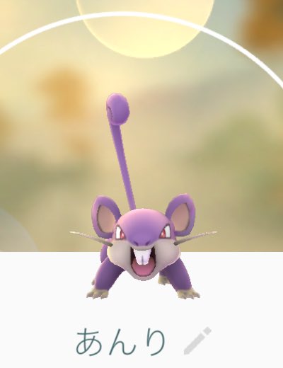 ট ইট র Ten6 テンシックス 公式 ポケモンにten6メンバーの名前を付けて遊んでます 志築杏里はコラッタ 進化でラッタになります 今年一年を振り返ると あんりさんは進化したと思います なので今はラッタですね バイクにも乗れるし ポケモンgo