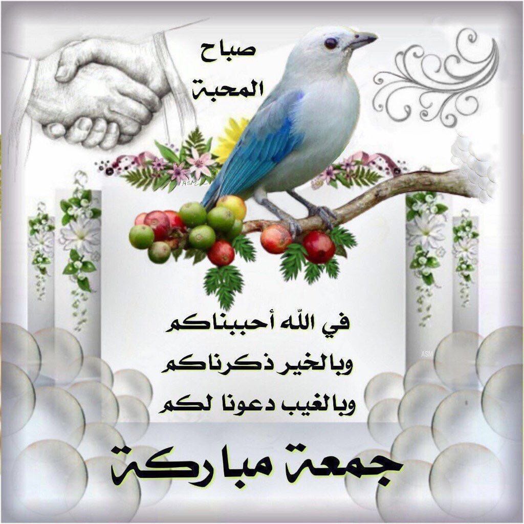 alagmi123's tweet photo. https://t.co/1SV0n6lfeA