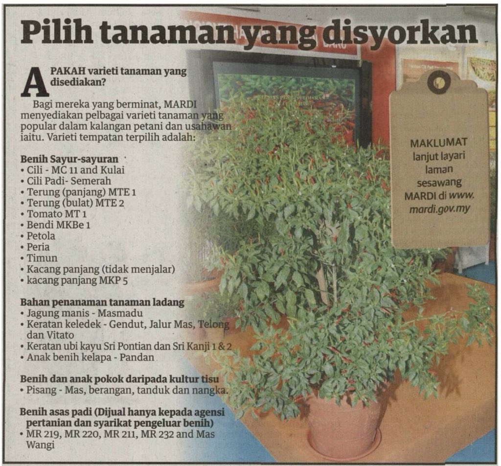 mardimalaysia's tweet photo. Soal jawab akhbar @UMonline; berkenaan benih berkualiti &amp; kepelbagaian varieti yang boleh didapati di MARDI. #betterMARDI #OurFoodOurFuture https://t.co/c56tRD51Ro