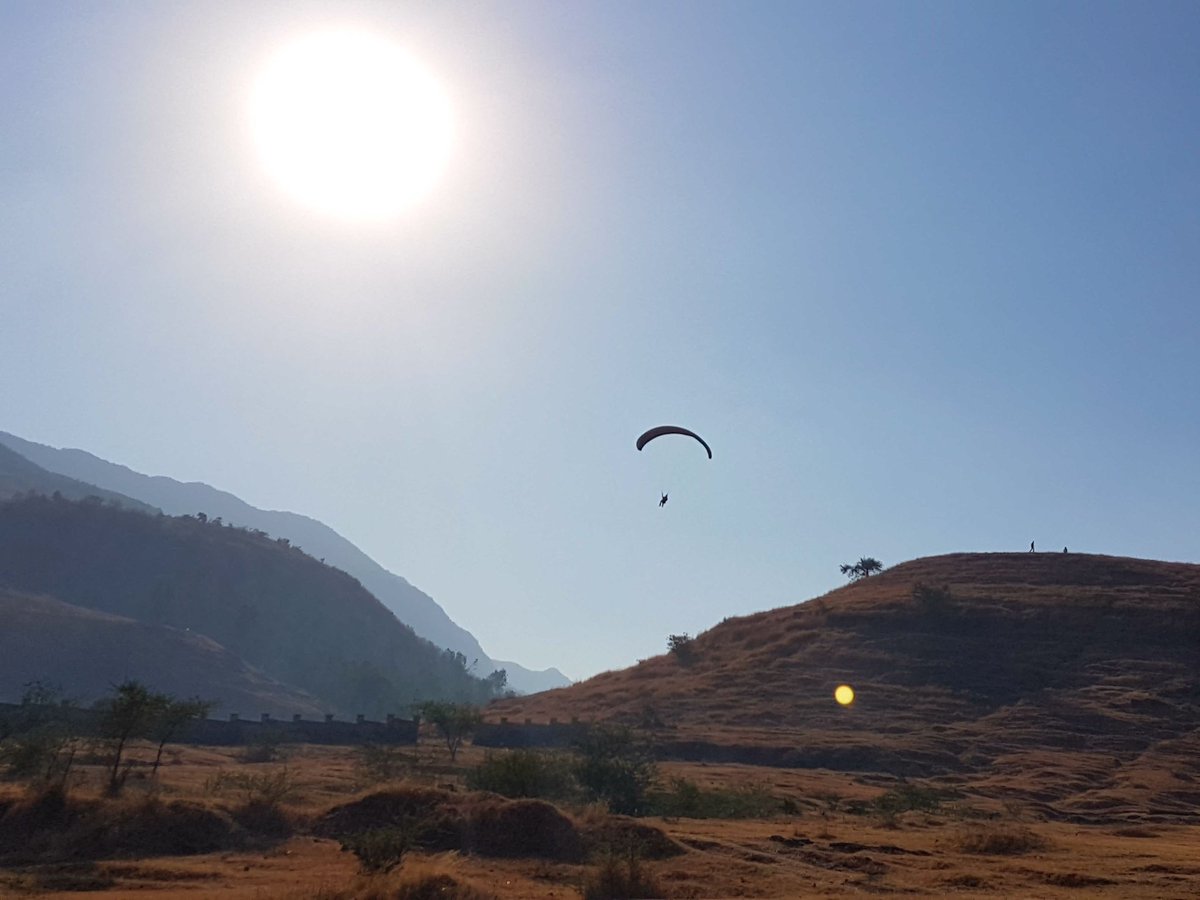 Templepilots tweet media