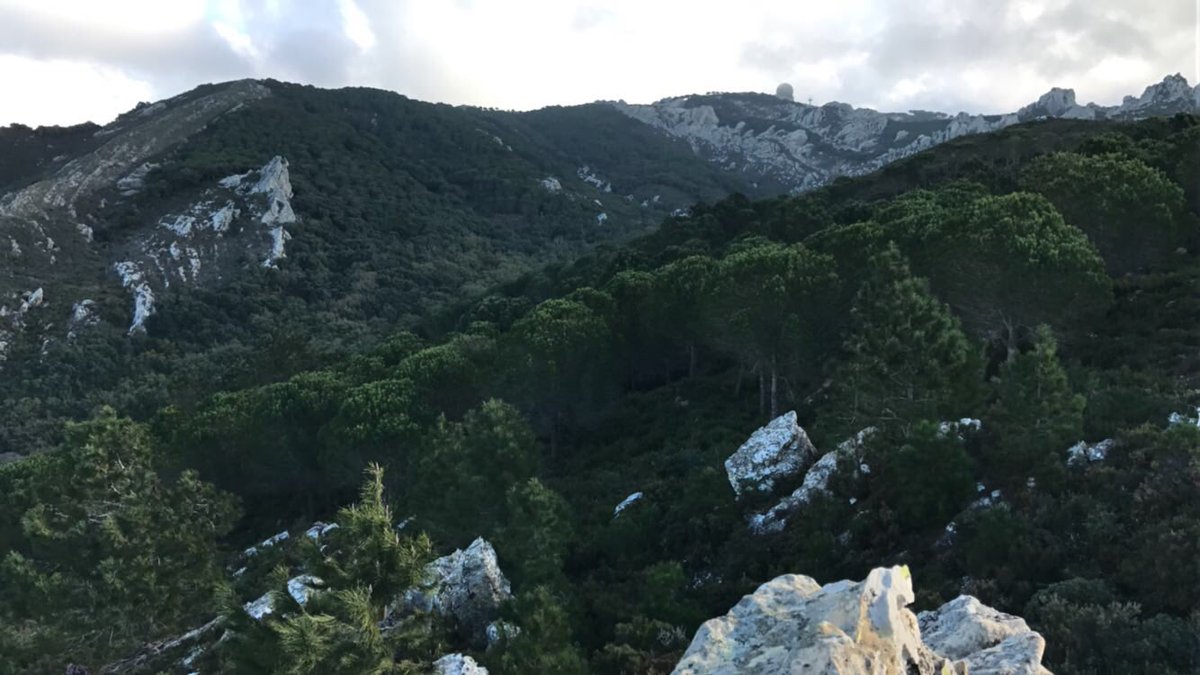 La_Mariscala's tweet photo. Disfruta de nuestras vistas en la #SierraDeCadiz a una hora en coche desde nuestra #CasaRural y tened todos un Feliz Año 2017 🎉🎉🎉 https://t.co/DD7m98UBuK