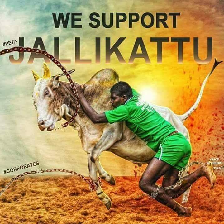 murugaramu_kkl's tweet photo. #wesupportjallikattu https://t.co/OzR2VTKeIf