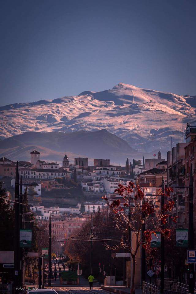 msndrtx's tweet image. Esta bendita ciudad es lo mejor que me ha pasado en la vida.