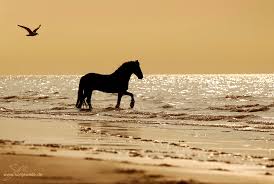StrangersPoint tweet picture