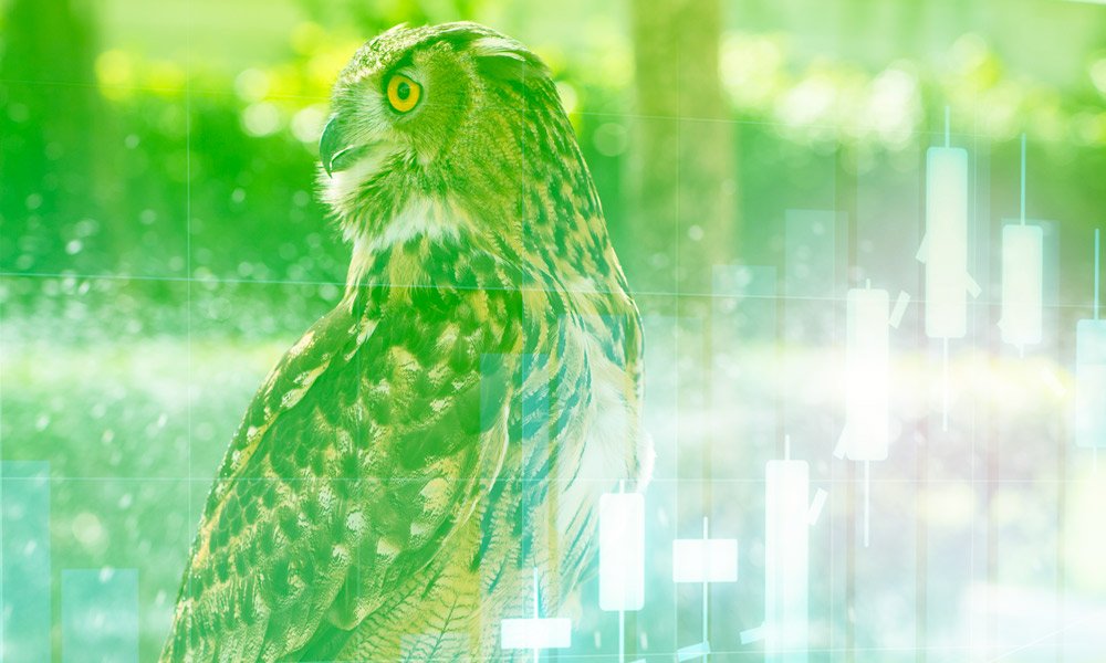 easymarkets's tweet image. Friday Lookback dlvr.it/N0H8yb