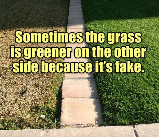 yribbens's tweet photo. #truestory https://t.co/CQoGVtrJkh