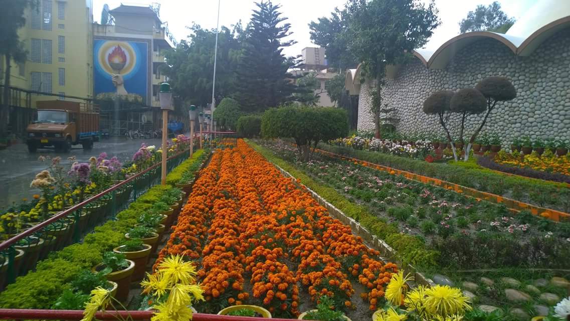 vibesposiitive's tweet image. 