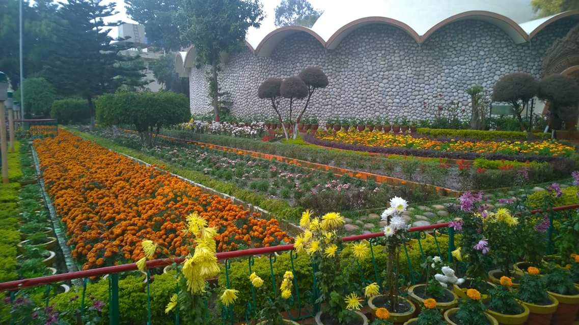 vibesposiitive's tweet image. 