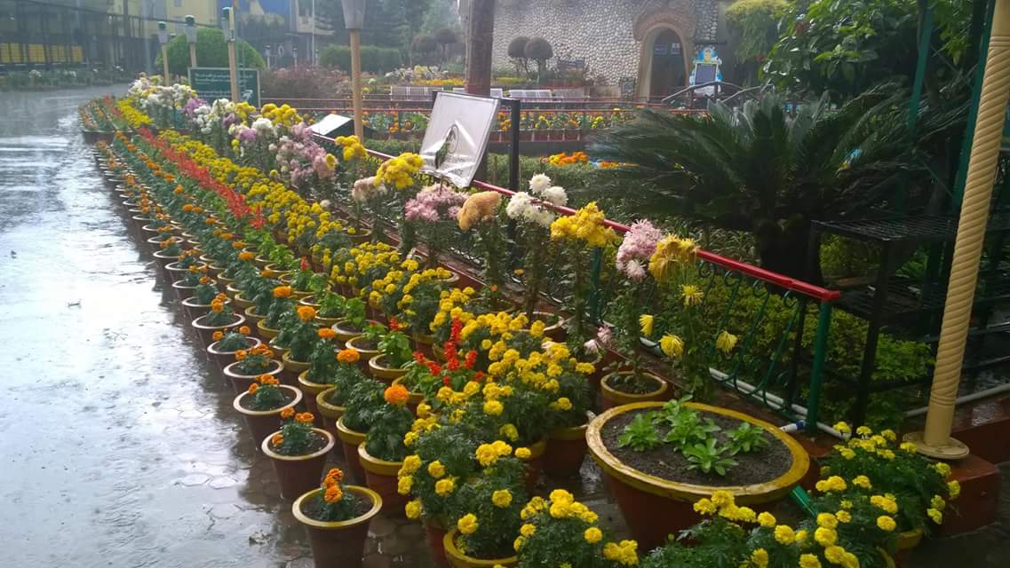 vibesposiitive's tweet image. 