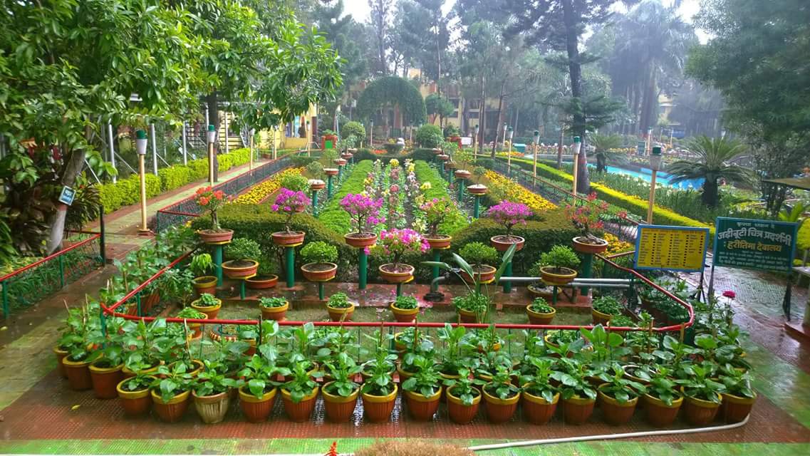 vibesposiitive's tweet image. 