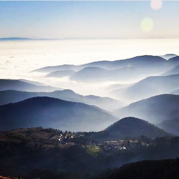 WeLoveAlsace tweet media