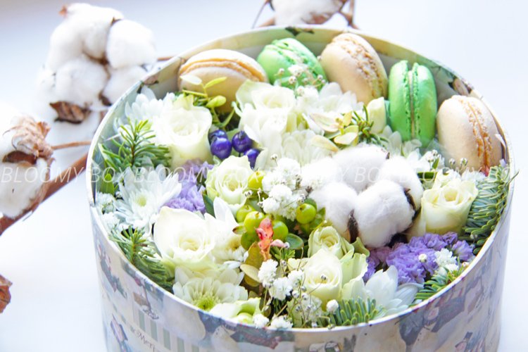 Bloomy_Box tweet picture