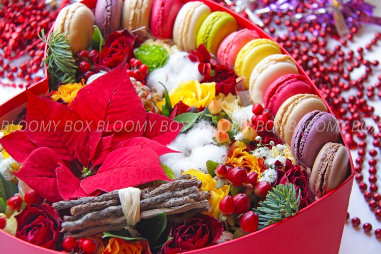 Bloomy_Box tweet picture