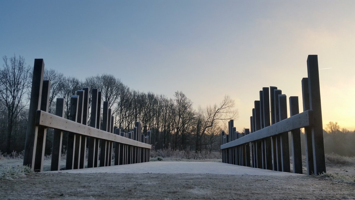 Voorsterbos op z.n mooist