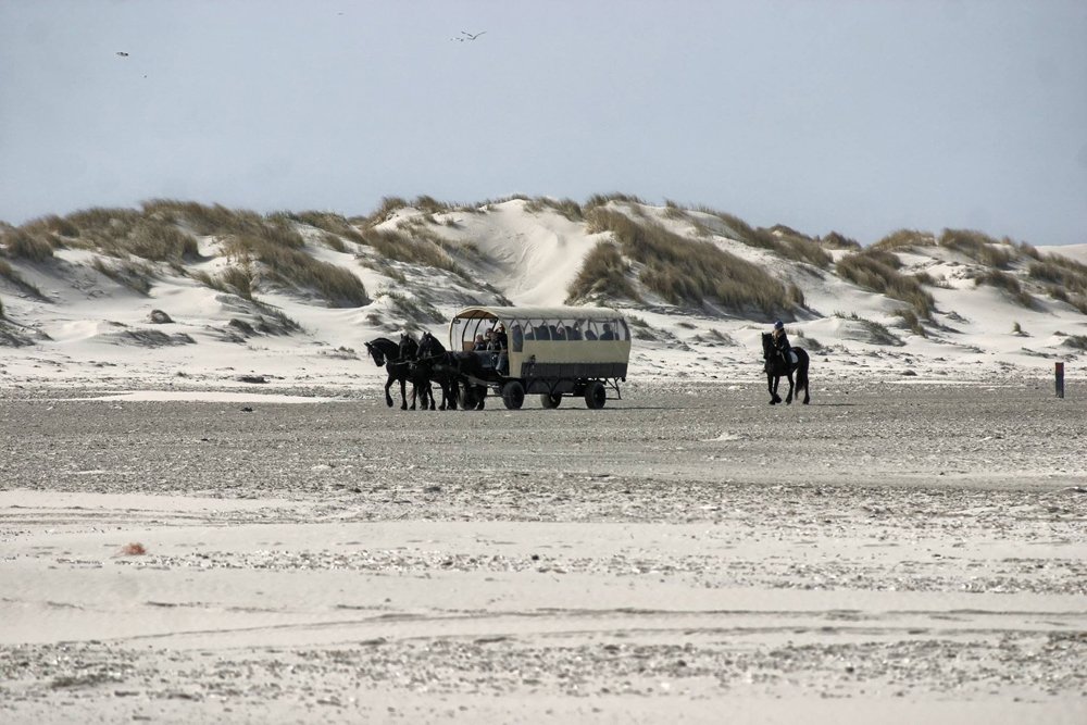 <a href="/PuurSkylge/">Puur-Terschelling</a> #Terschelling in top 10 Leukste uitje van Friesland. waddengoud.nl/waddengoud-jou… #Friesland #ANWB #Paardrijden