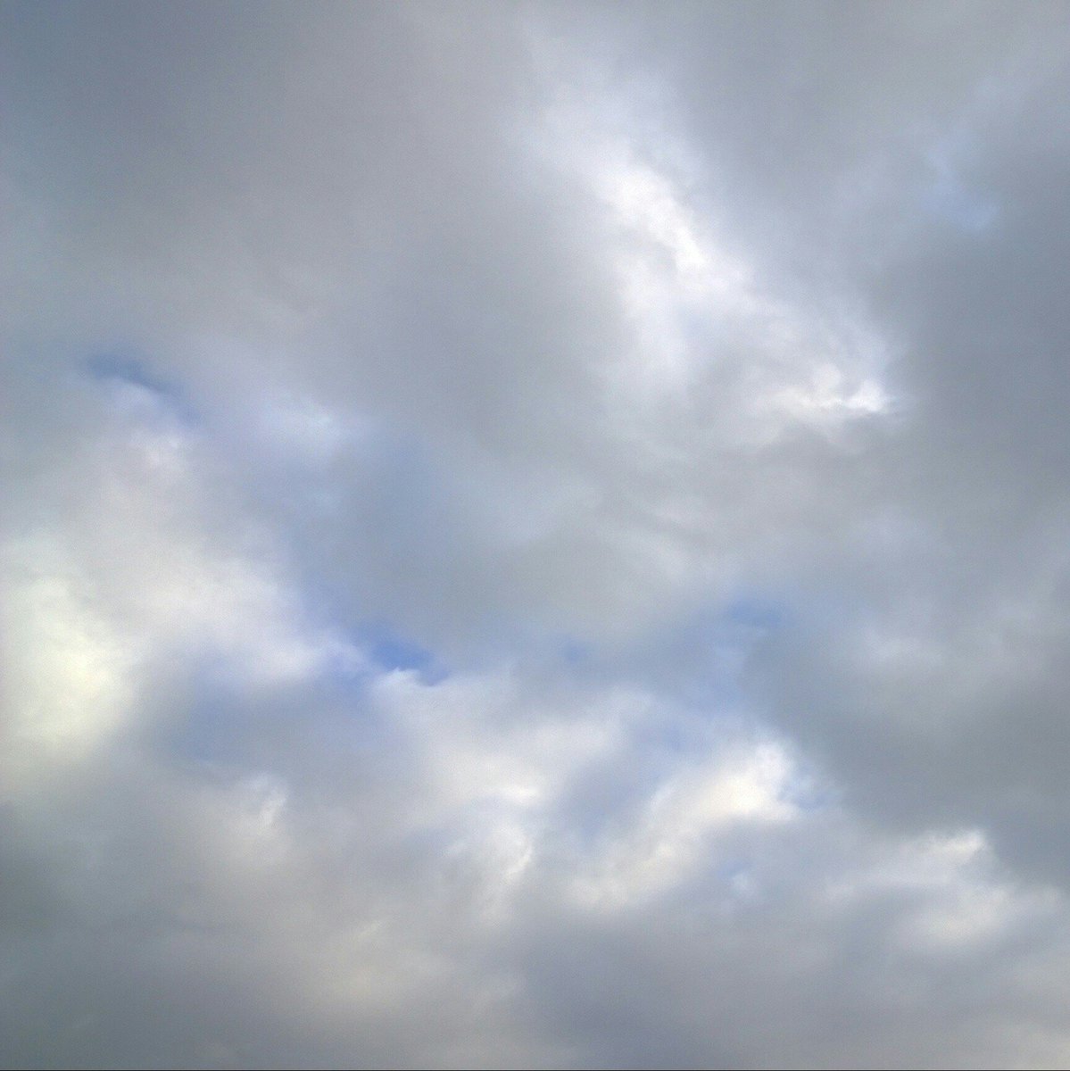 skyoverberlin16's tweet photo. 27th of December '16362/366 #skyoverberlin #berlin #todaysky#dataviz #visualization #skyoverberlin #sky https://t.co/sBMRdC80Ba
