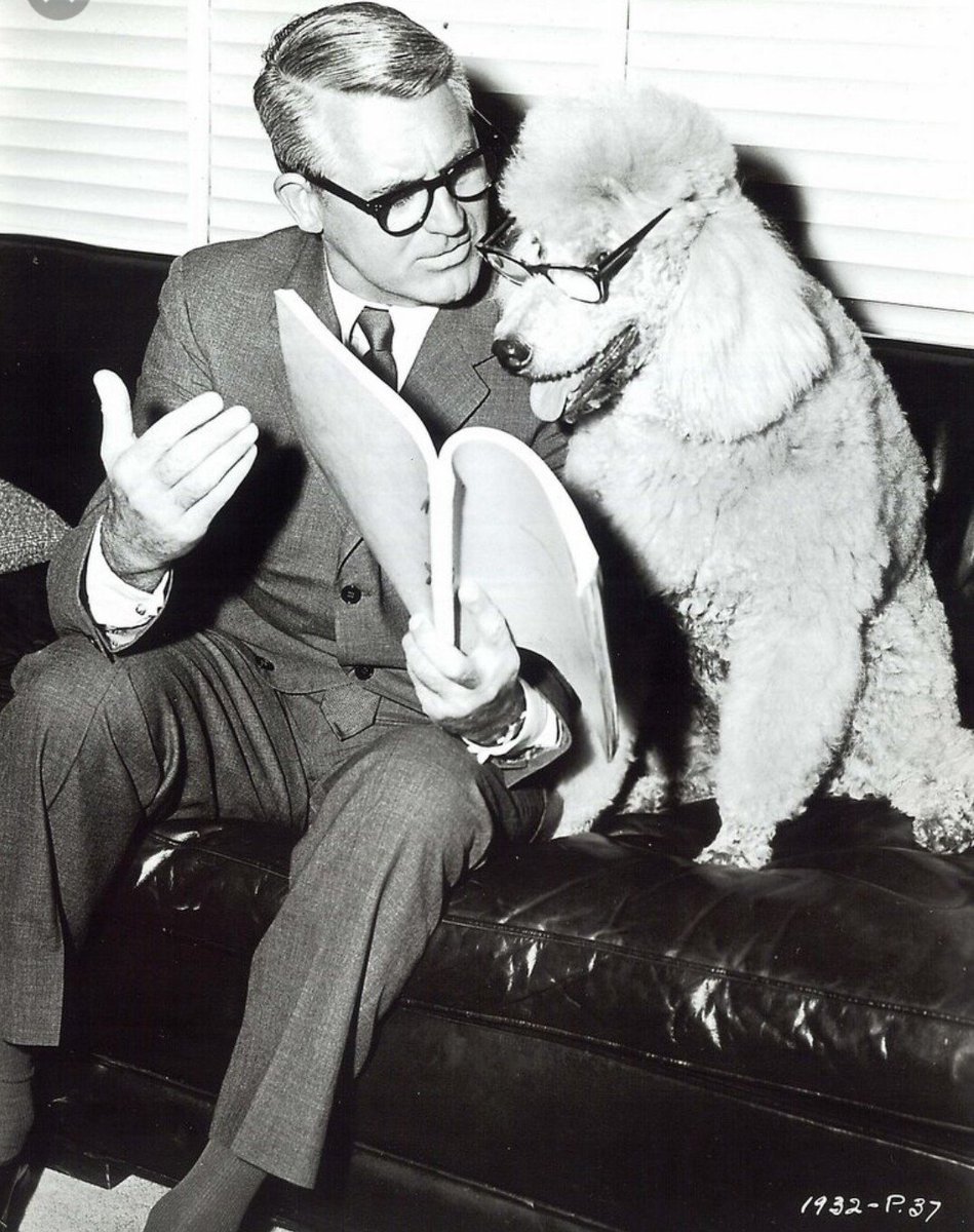 IreneBennet's tweet photo. Leyendo y comentando la prensa con mi perro. https://t.co/lzpIgITska