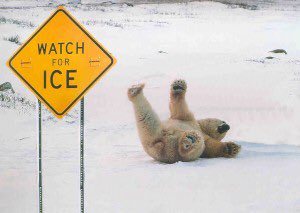 NicoleNalepaTV's tweet photo. #HappyFriday! We're on-air early to give you a heads up regarding conditions you may encounter on the roads this A.M. #itsslick #watchforice https://t.co/c5qiAKXXXd