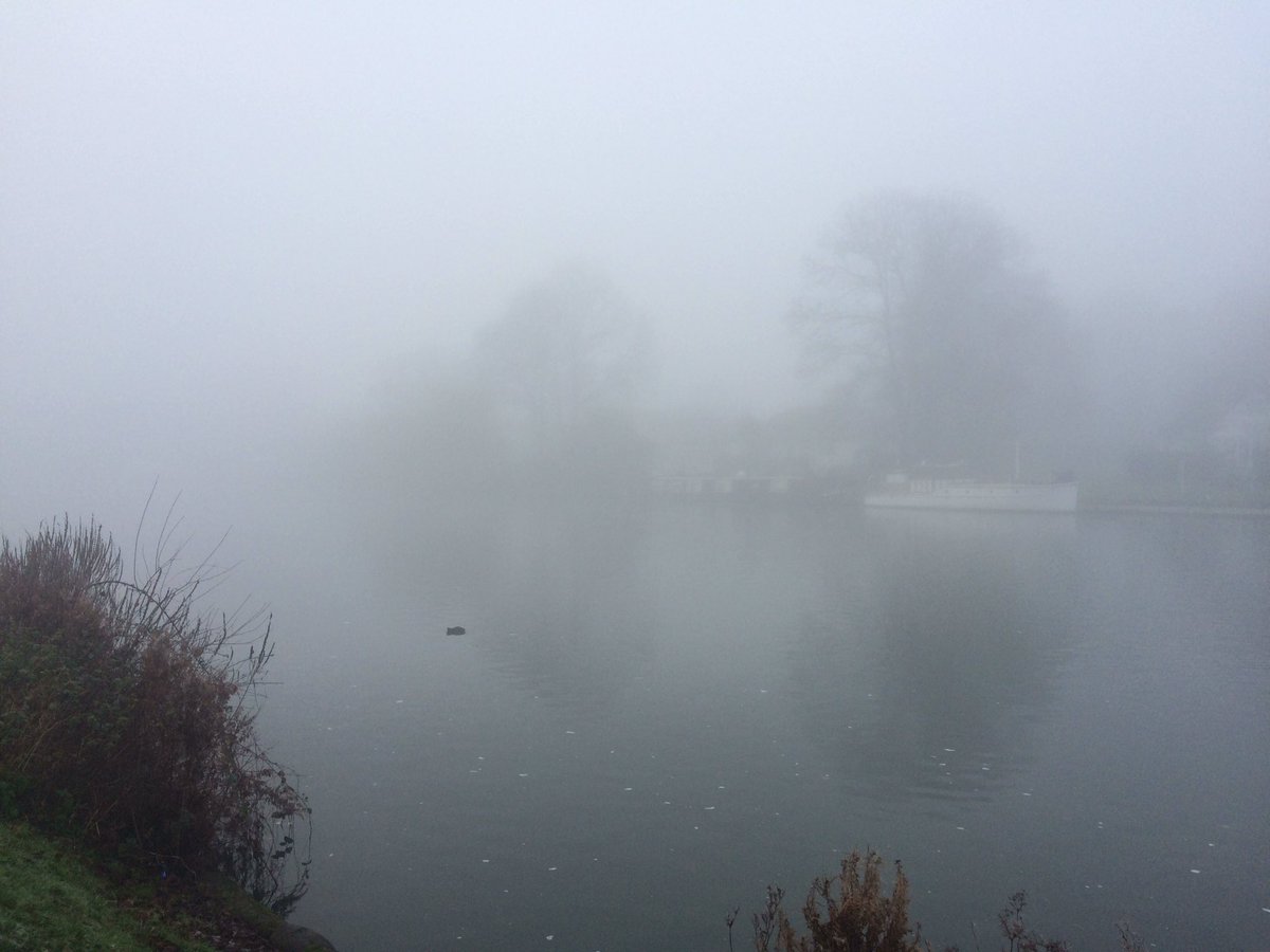 RealIanBrown73's tweet photo. Very atmospheric here on the Thames footpath from Chertsey to Windsor today #Thamesfootpath https://t.co/W2mxvzmN4I