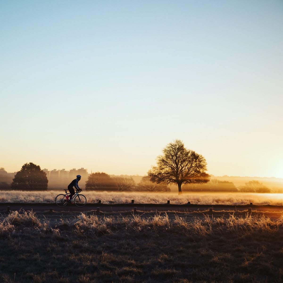 challengesophie's tweet photo. Forever chasing the sunrise ๐ https://t.co/i0G0uLl4oP #sunrisecycle https://t.co/ezzfWT0slY