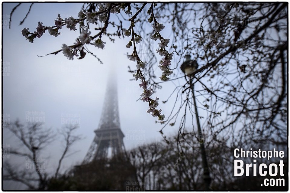 PHOTOCHRISTOPHE's tweet photo. Paris... Brouillard. Photo bricot. https://t.co/gnBWrTdUpB