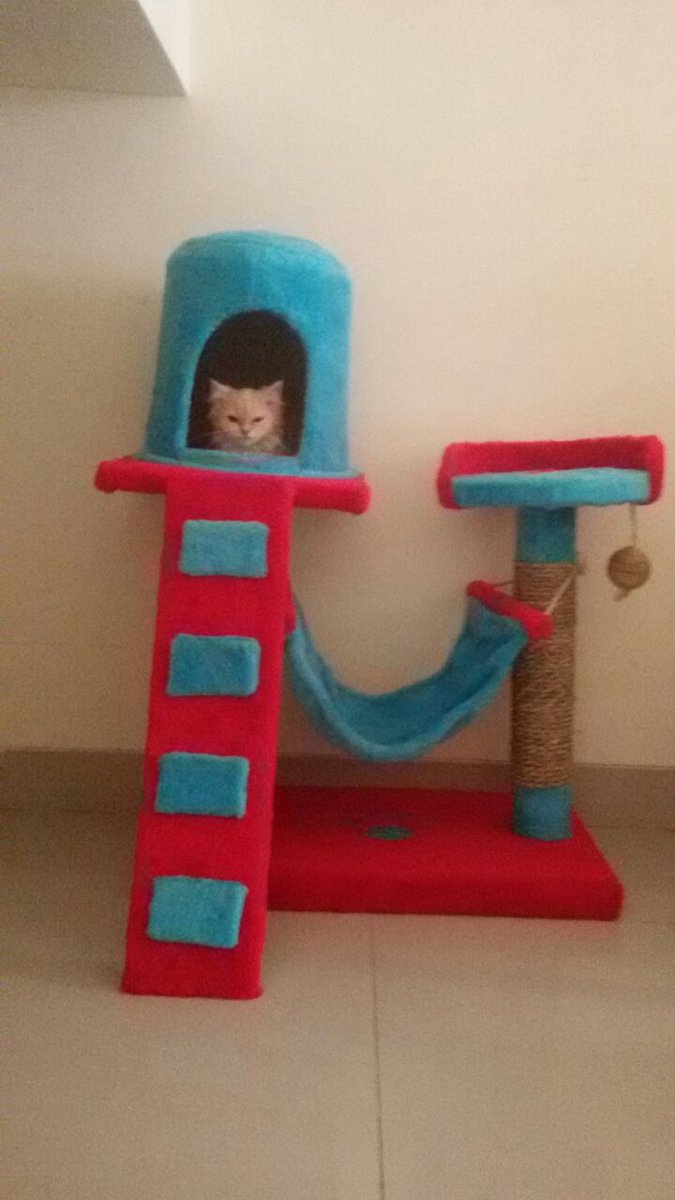 DHEASELASIH's tweet photo. @haloJakarta #jual Cat Scratcher #madeinbandung PO 7-10 hari,bnyk model &amp; warna..Order WA: 08112209299 https://t.co/blJJ1MRDrL