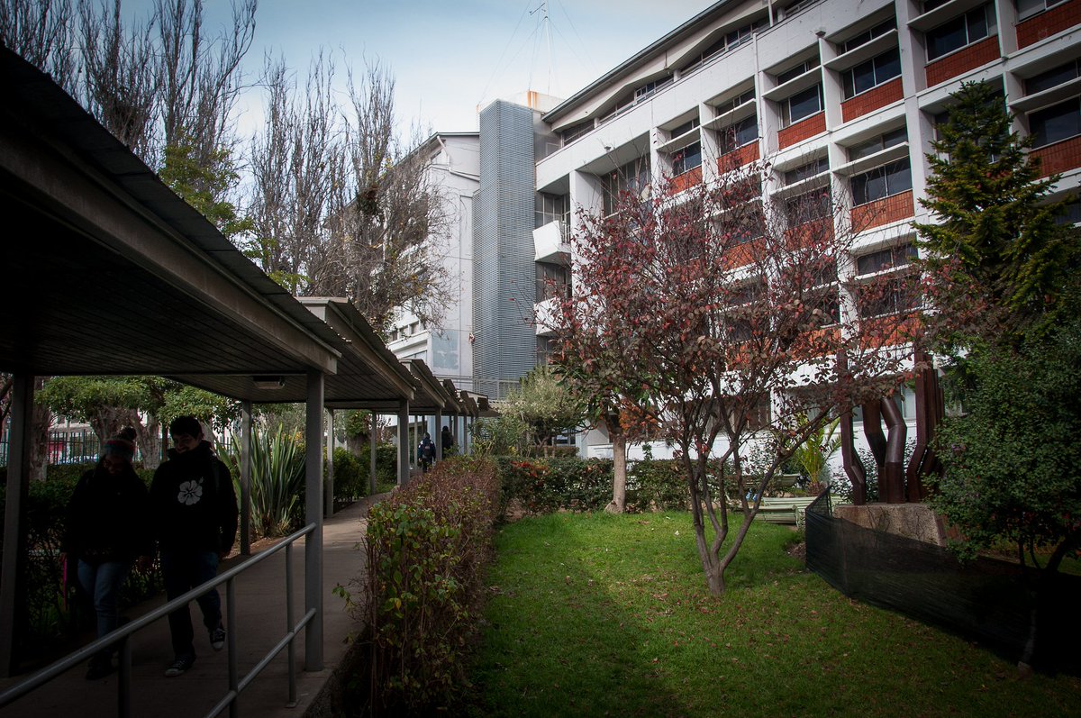 Egresados UPLA tweet media