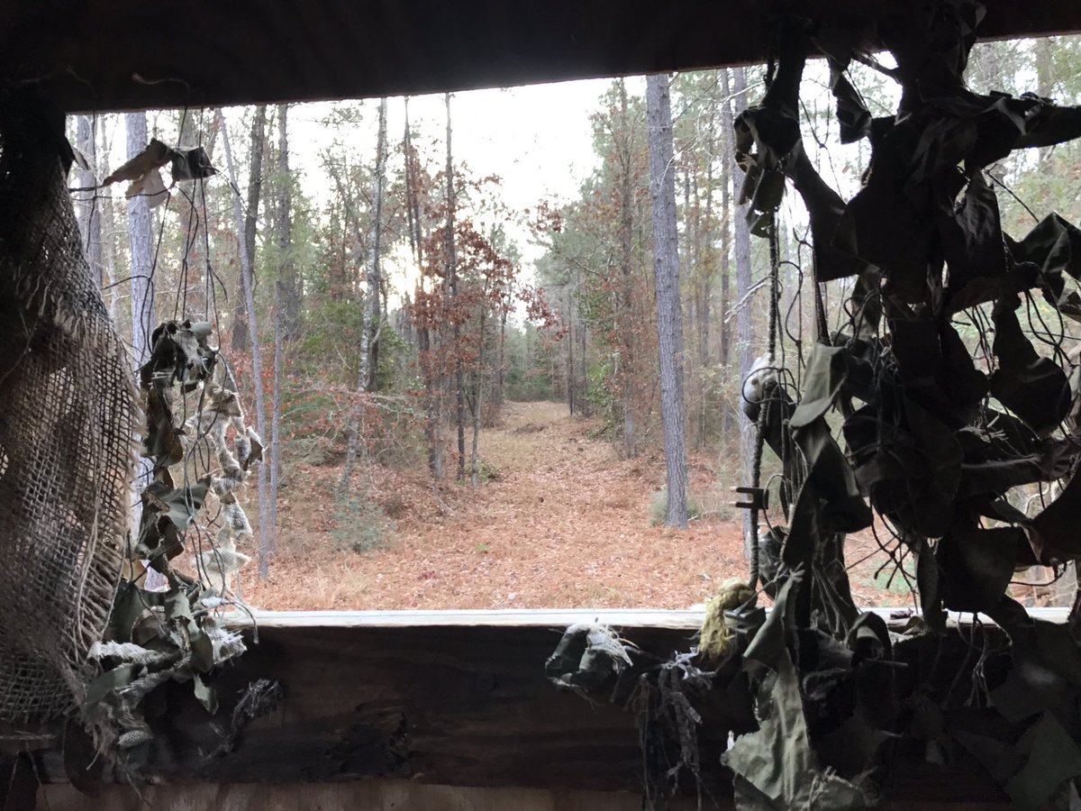 LaneCorley's tweet photo. Best place to work on New Years resolutions. #boxstand #deerhunting https://t.co/UMalxzpYnd