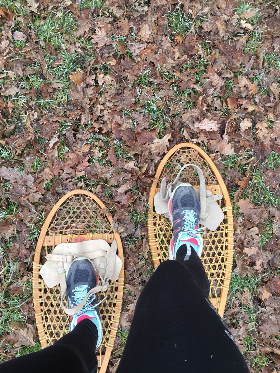k_scous's tweet photo. Entraînement raquettes pour Véro. On se croirait au #wintertail Il ne manque que la # neige Objectif #wintertail @oxfamfrance https://t.co/ZCSfqWVMXJ