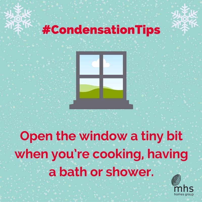 mhshomes's tweet photo. We know it's cold - you only need to open them a tiny bit! #CondensationTips https://t.co/QSgTikts0w https://t.co/tXSP6D0RTI