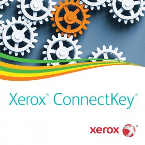 XsolveIT tweet media