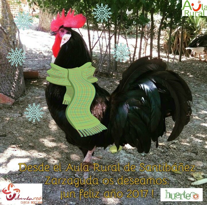 AulaRural's tweet photo. Desde @AulaRural os deseamos ¡una feliz salida y entrada de año y esperamos compartir muchos momentos en el 2017!
#huerteco @voluntared https://t.co/805REWhUF3
