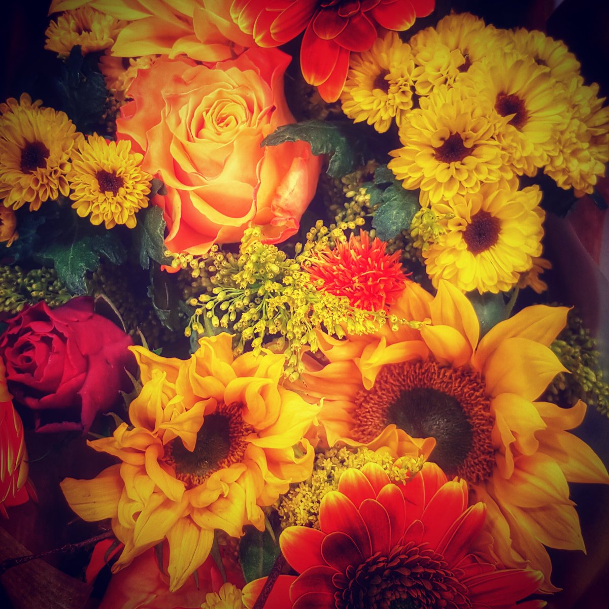 LesleyAtterwill's tweet photo. It's #FridayFlowerDay ..here are some from my Instagram! Have a great one.. https://t.co/HR6pVaGdvR
